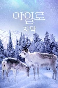 아일로 (자막)