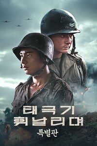 태극기 휘날리며 (특별판)