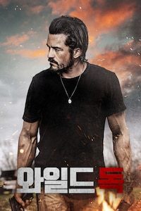 와일드독