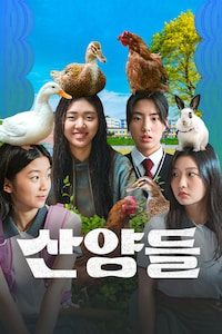 산양들