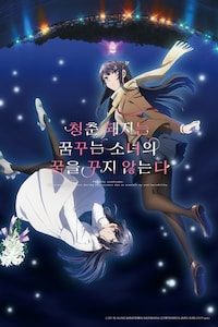 극장판 청춘 돼지는 꿈꾸는 소녀의 꿈을 꾸지 않는다