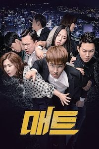 매트