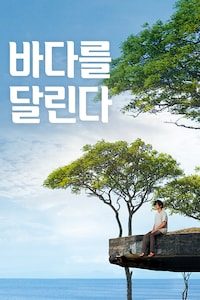 바다를 달린다