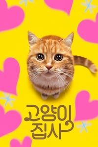 고양이 집사
