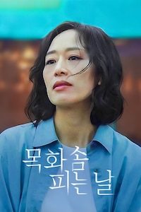 목화솜 피는 날