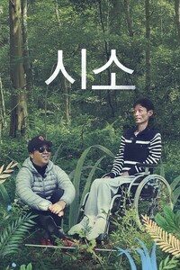 시소