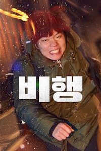 비행