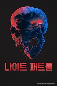 나이트 패트롤