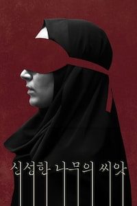 신성한 나무의 씨앗