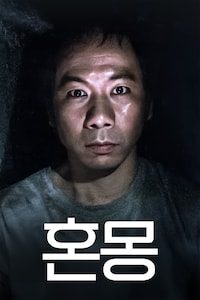 혼몽