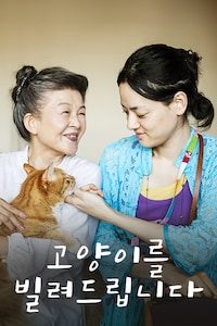 고양이를 빌려드립니다
