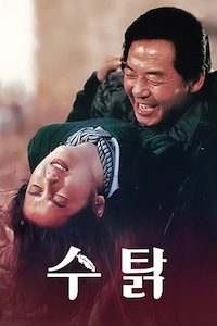수탉
