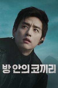 방 안의 코끼리