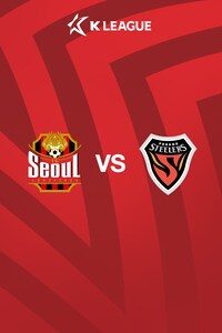 서울 vs 포항