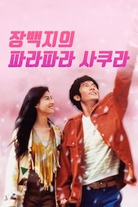 장백지의 파라파라 사쿠라