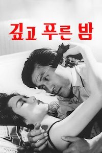 깊고 푸른 밤