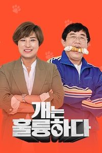 개는 훌륭하다