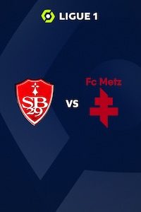 브레스트 vs 메스
