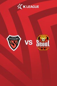 포항 vs 서울
