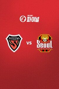 포항 vs 서울