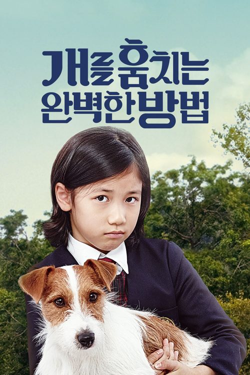 개를 훔치는 완벽한 방법