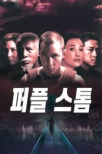 퍼플 스톰