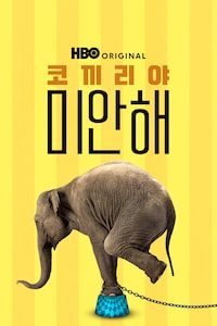 코끼리야 미안해