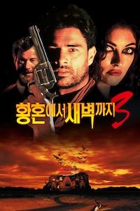 황혼에서 새벽까지 3