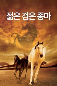 젊은 검은 종마