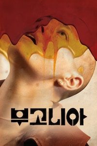 부고니아