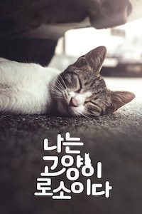 나는 고양이로소이다