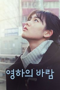 영하의 바람