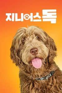 지니어스 독