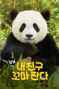 안녕, 내 친구 꼬마 판다