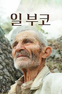 일 부코