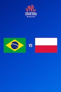 브라질 vs 폴란드