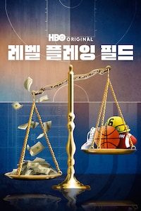 레벨 플레잉 필드