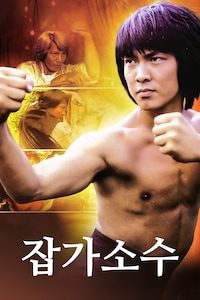 잡가소수