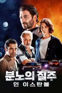 분노의 질주 인 이스탄불