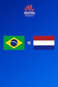 브라질 vs 네덜란드