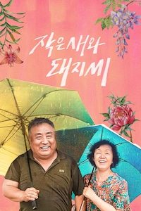 작은새와 돼지씨