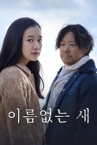 이름없는 새