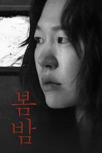 봄밤