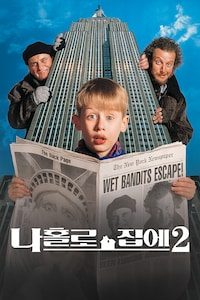 나 홀로 집에 2: 뉴욕을 헤매다
