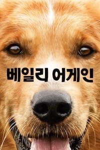 베일리어게인