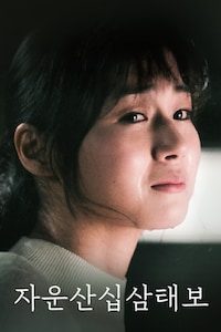 자운산십삼태보