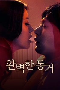 완벽한 동거