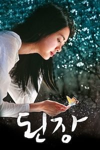 된장
