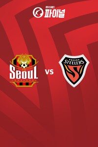 서울 vs 포항