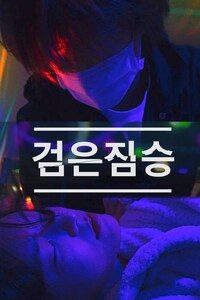 검은 짐승